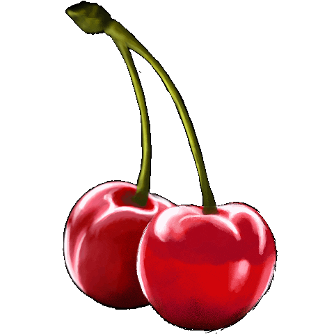 A gif of two cherries sharing a stem bobbing side-to-side.